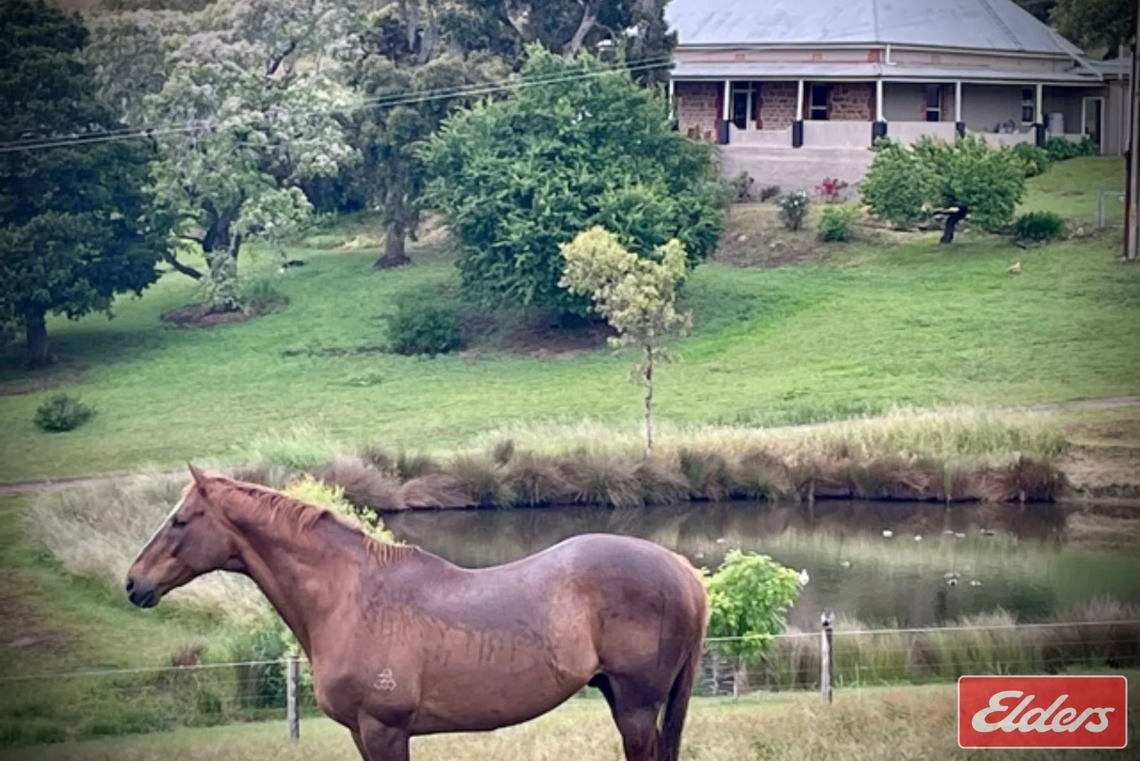 Additional image 27 of 36 Springton Road, Williamstown SA 5351