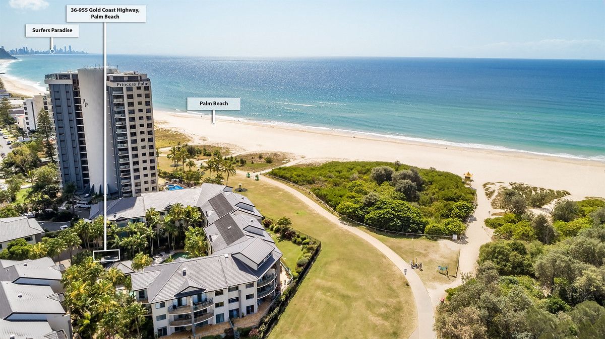 36/955 Gold Coast Highway, Palm Beach QLD 4221, Image 1