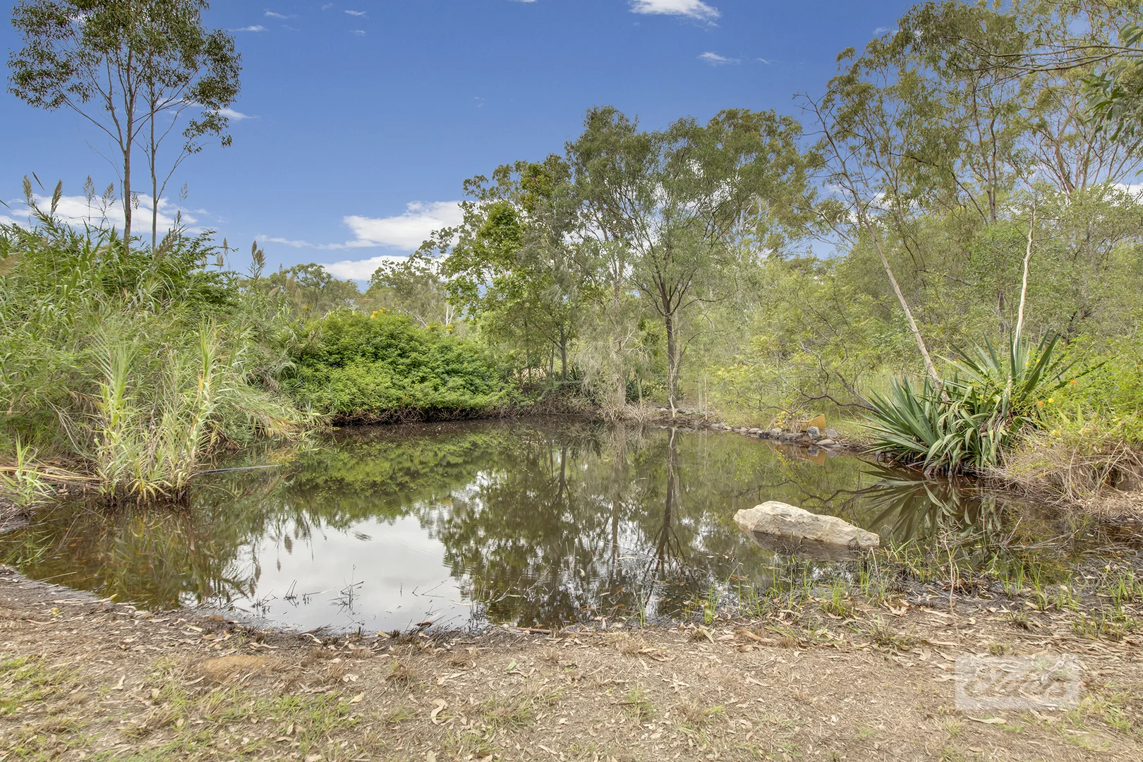 Image 15