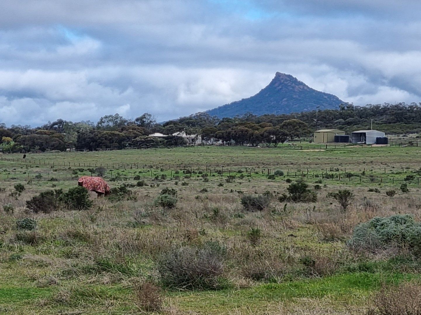 252 Pepper Tree Lane, Quorn SA 5433, Image 0