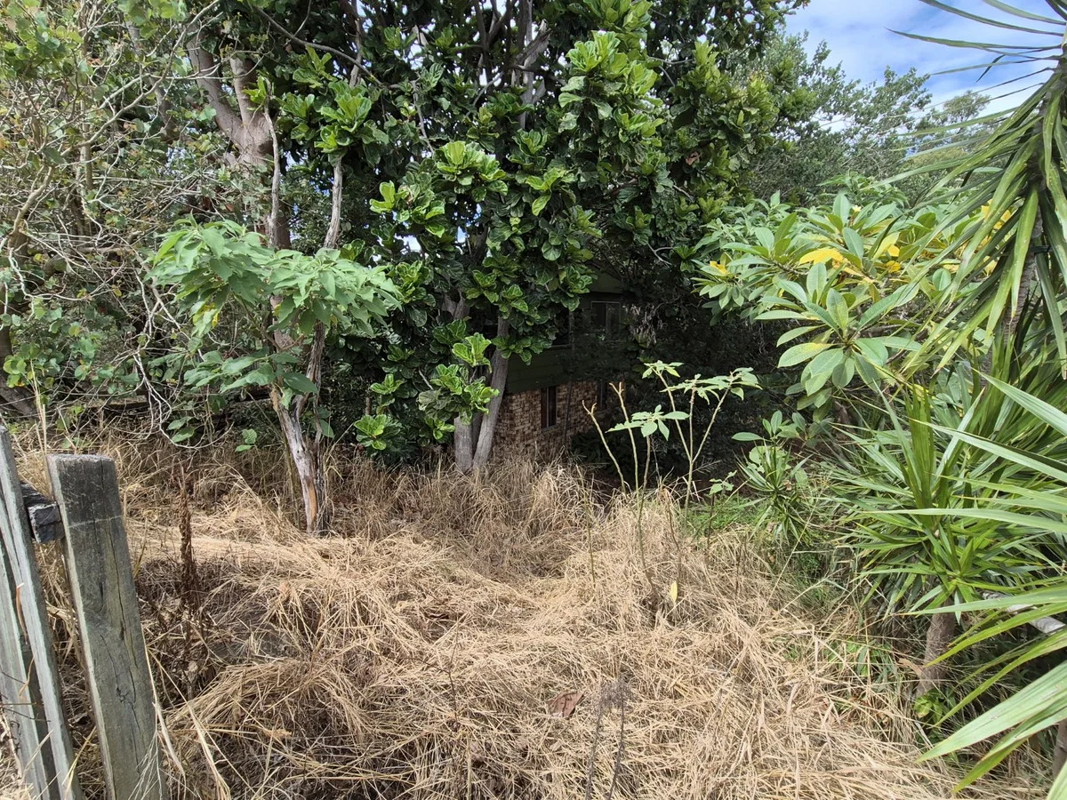 Additional image 5 of 18 Henderson Road, Everton Hills QLD 4053