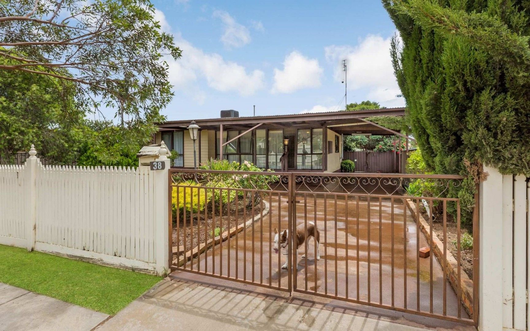 3 bedrooms House in 38 Chanter Street MOAMA NSW, 2731