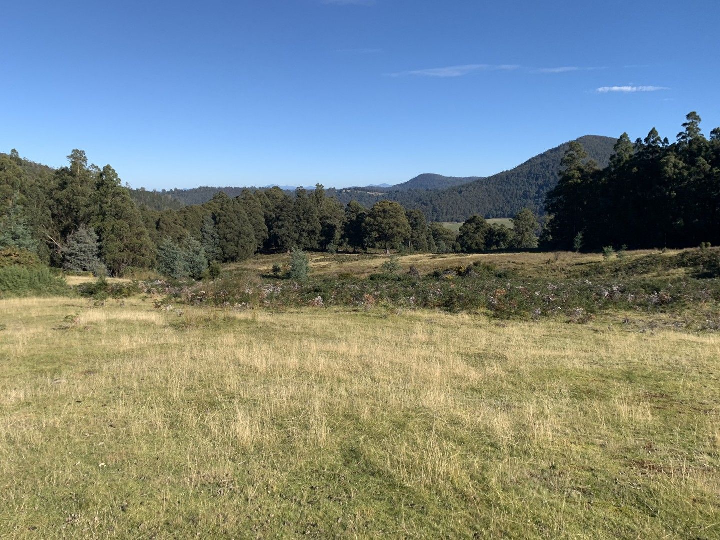 Lot 1 Liddells Road, Crabtree TAS 7109, Image 0