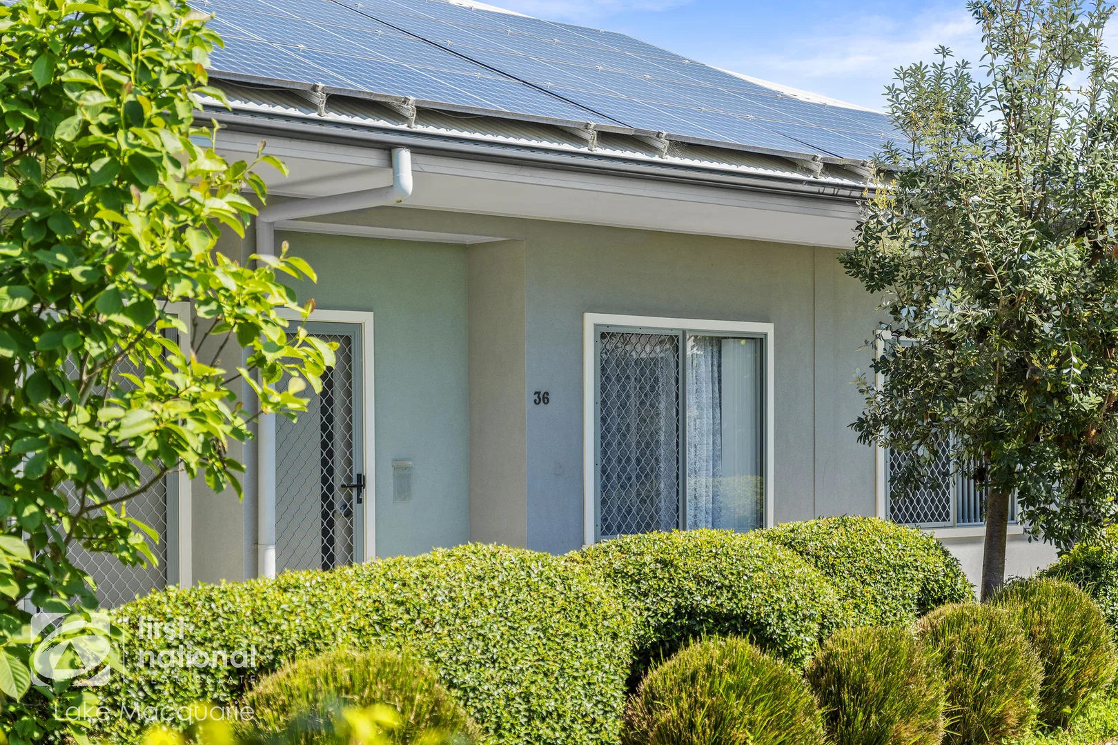 Image 11