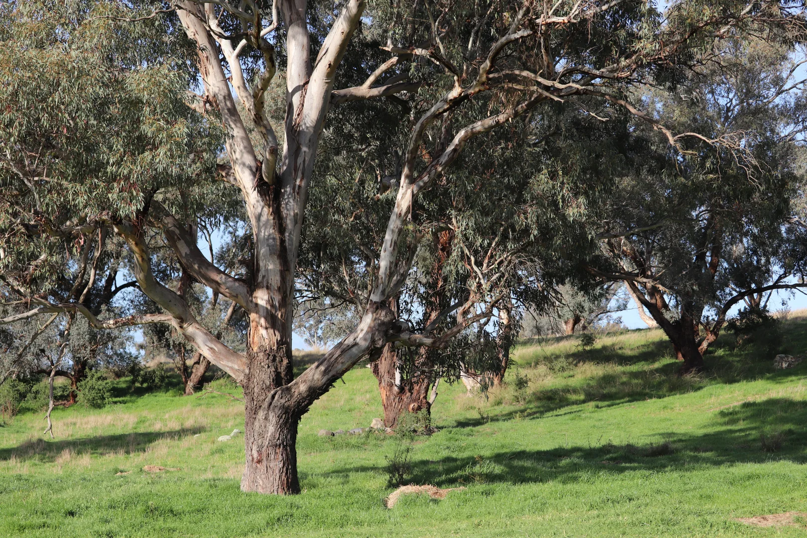 Image 21