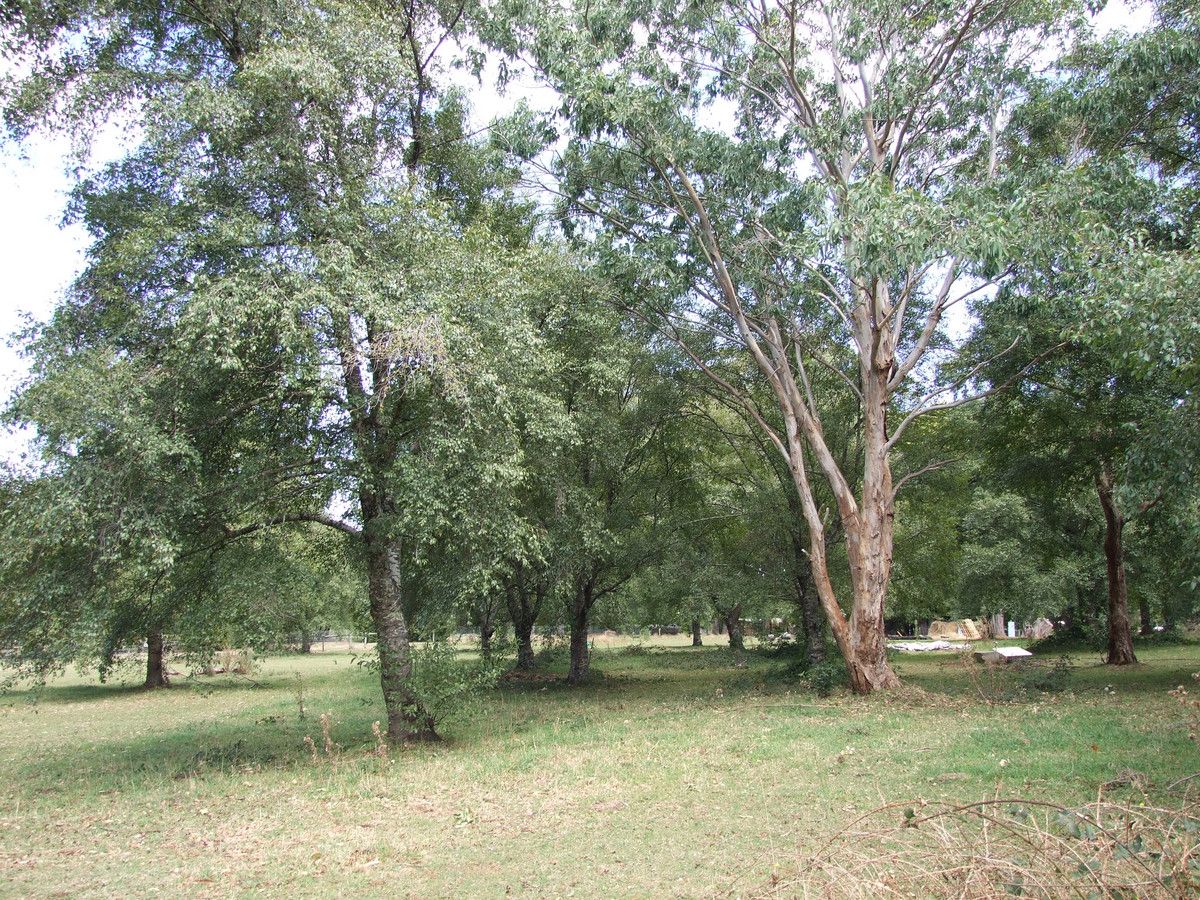 Lot 4 Knotts Siding Road, Rawson VIC 3825, Image 2