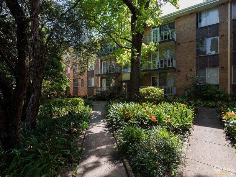 44/44-50 Ewart Street, Marrickville NSW 2204, Image 2