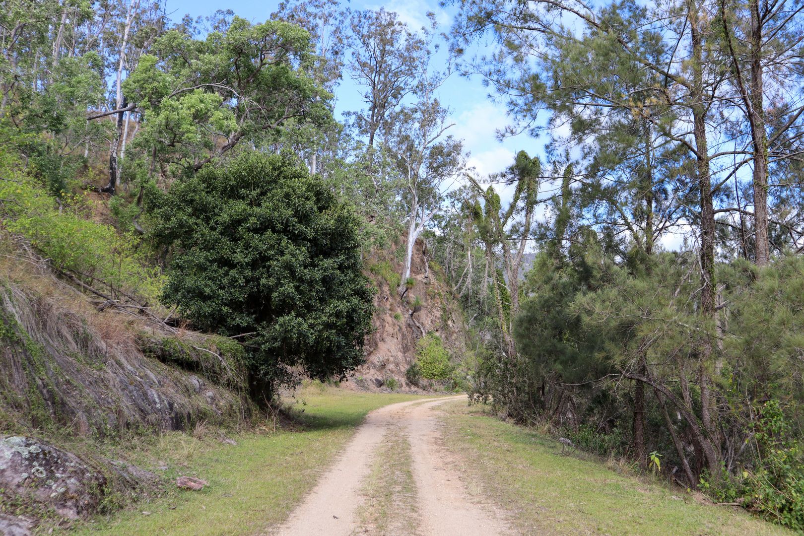 339 Lower Rocky River Road, Tenterfield NSW 2372 Farm for Sale 749,000