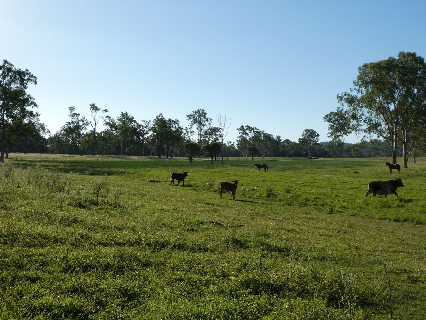 Lakeside QLD 4621, Image 1