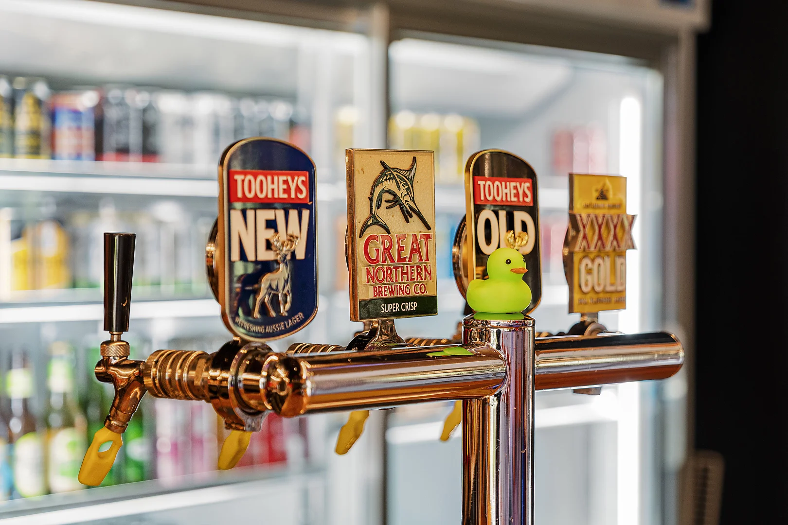 Additional image 19 of 345 Bylong Valley Way, Mudgee NSW 2850