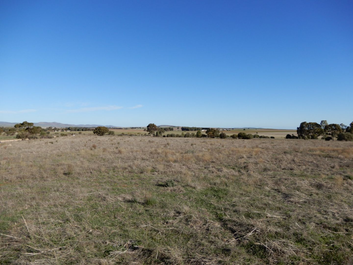 Section 295 Laura-Caltowie Rd, Caltowie SA 5490, Image 1