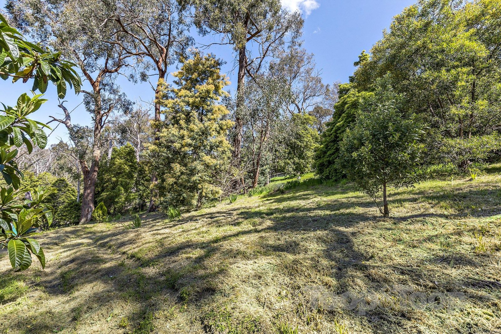 22 Beadnell Crescent, Bridgewater SA 5155, Image 1