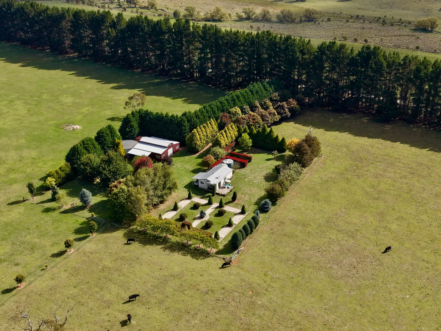 Additional image 12 of 383 Mozart Road, Mozart NSW 2787