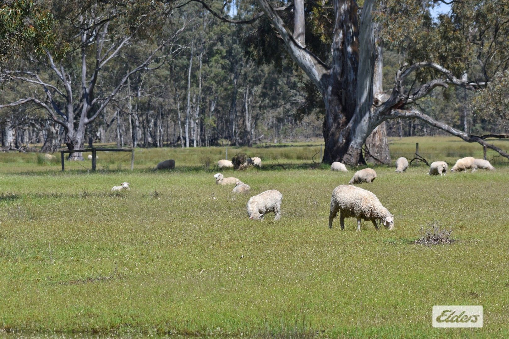 Fyans Creek Road, Fyans Creek VIC 3381, Image 0