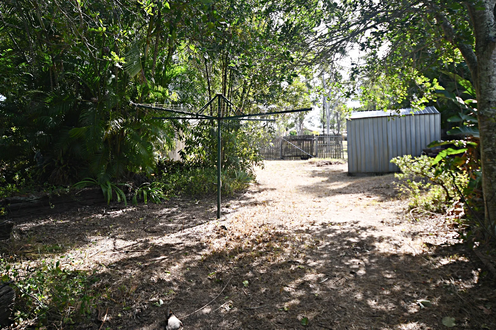 Image 14