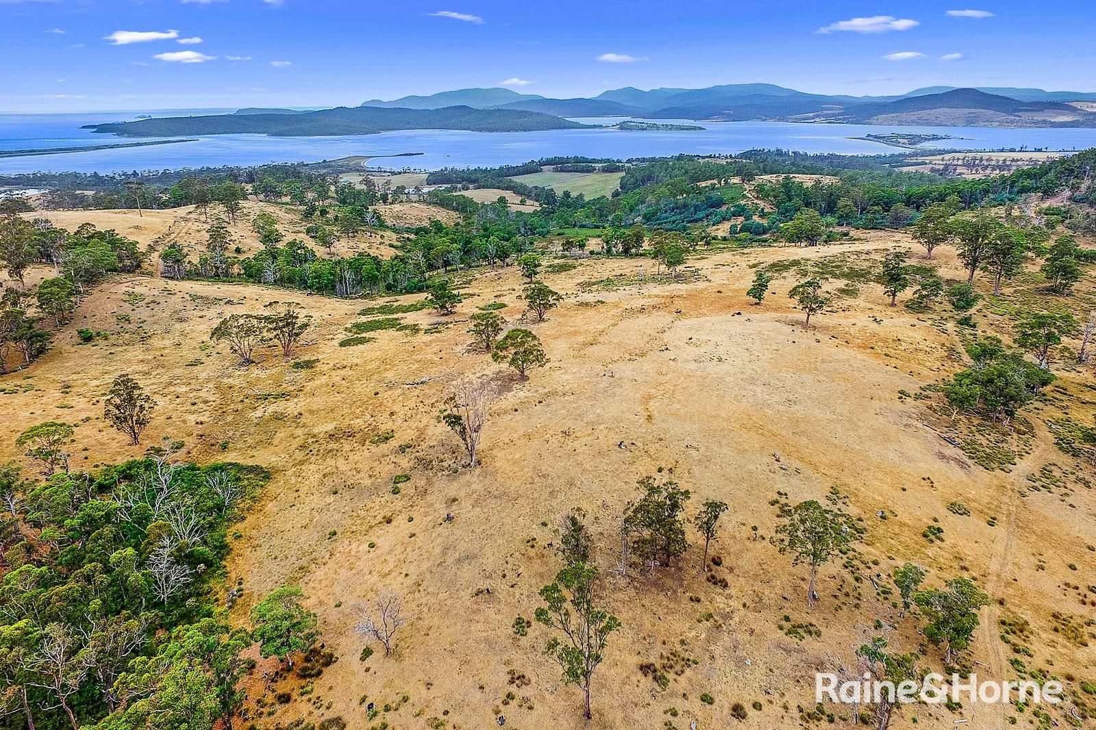 Lot 1 Arthur Highway, Copping TAS 7174, Image 2