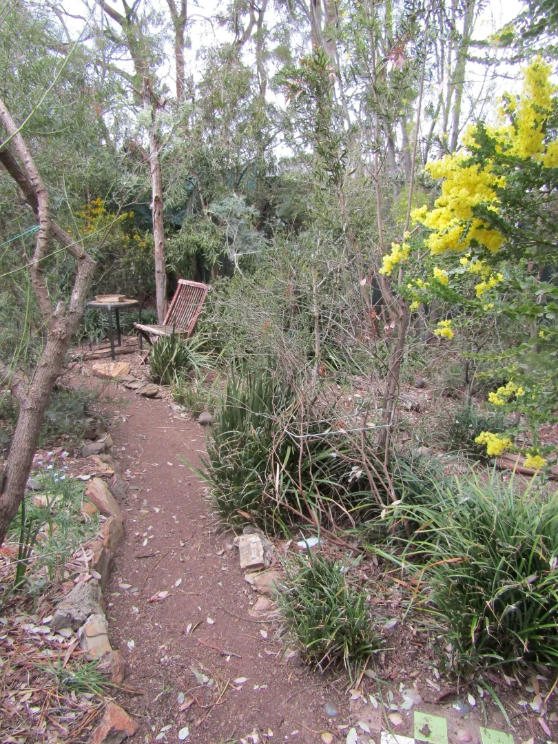 Additional image 23 of Calwell ACT 2905