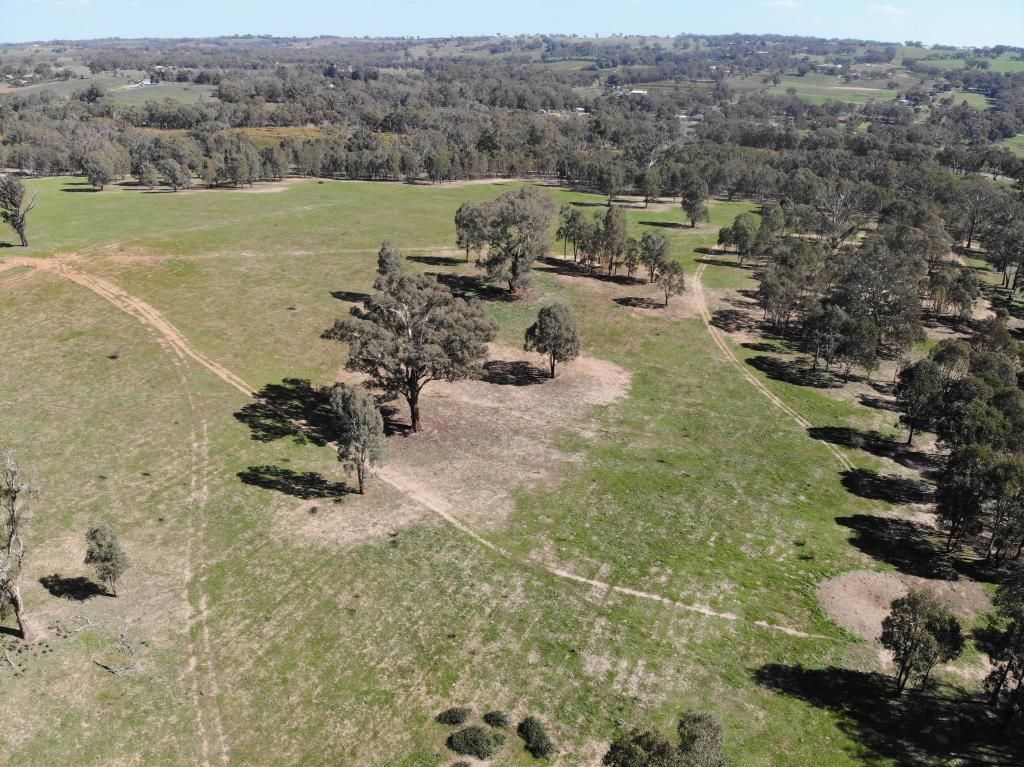 220 Back Creek Road, Young NSW 2594, Image 2