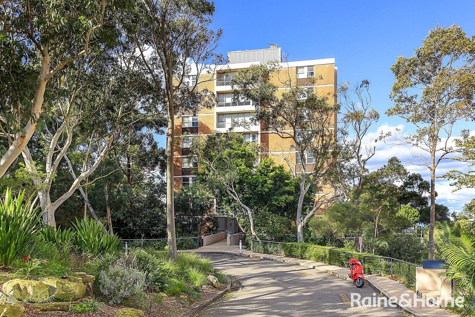 96/67 St Marks Road, Randwick NSW 2031 Apartment For Rent 600 Domain
