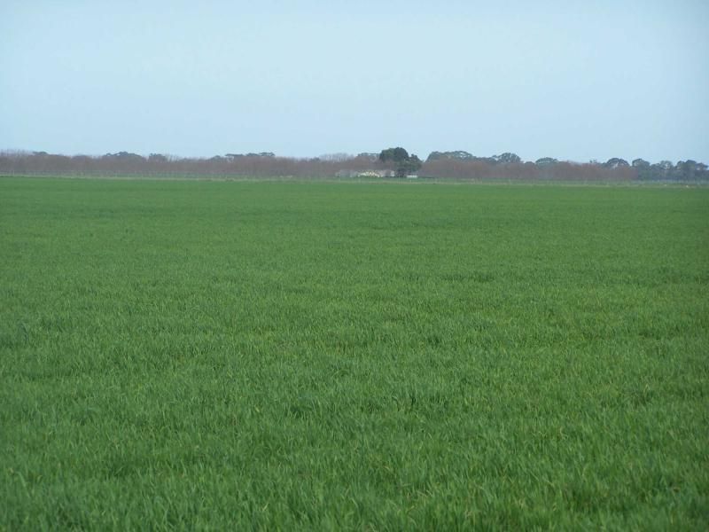 COONAWARRA SA 5263, Image 2