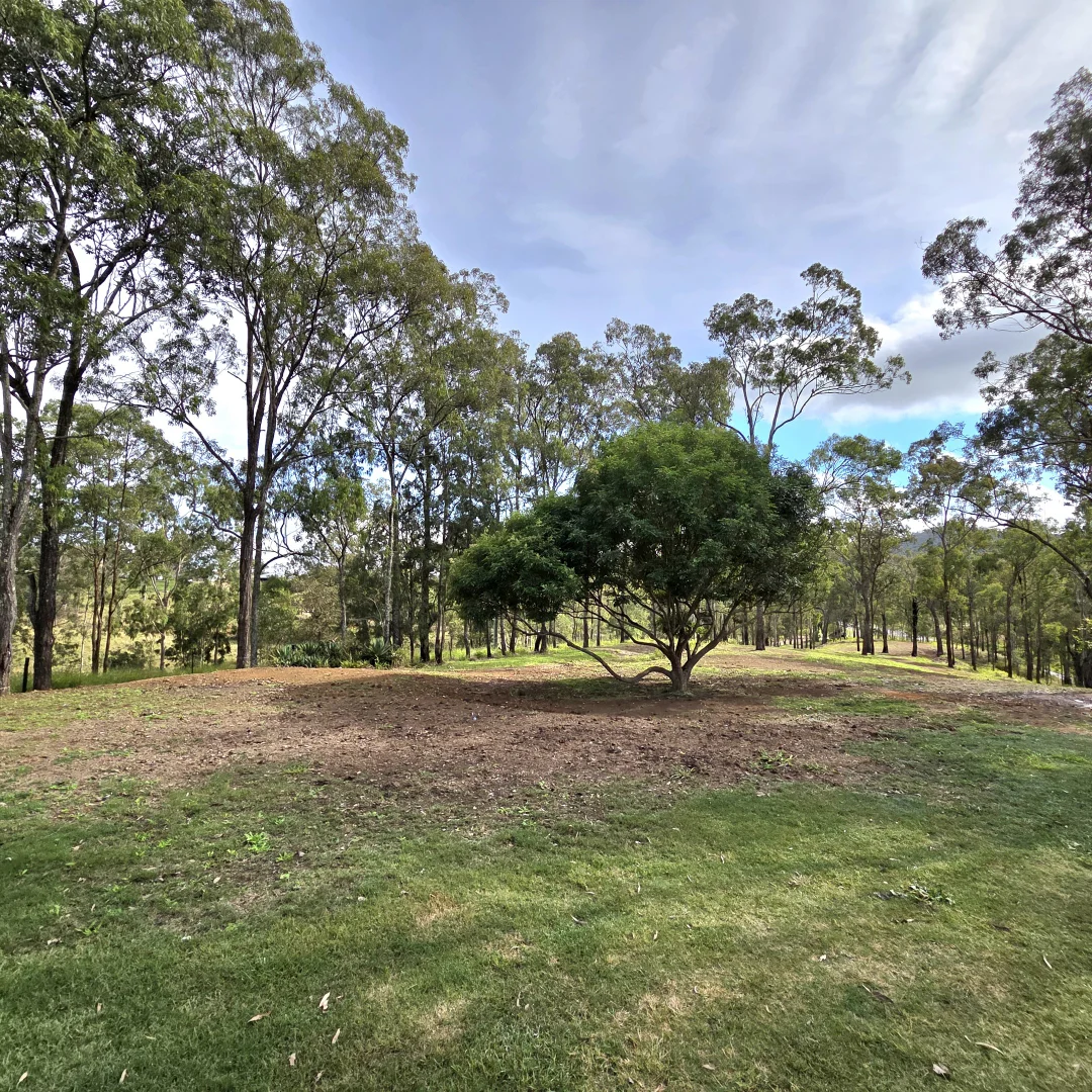 Image 30