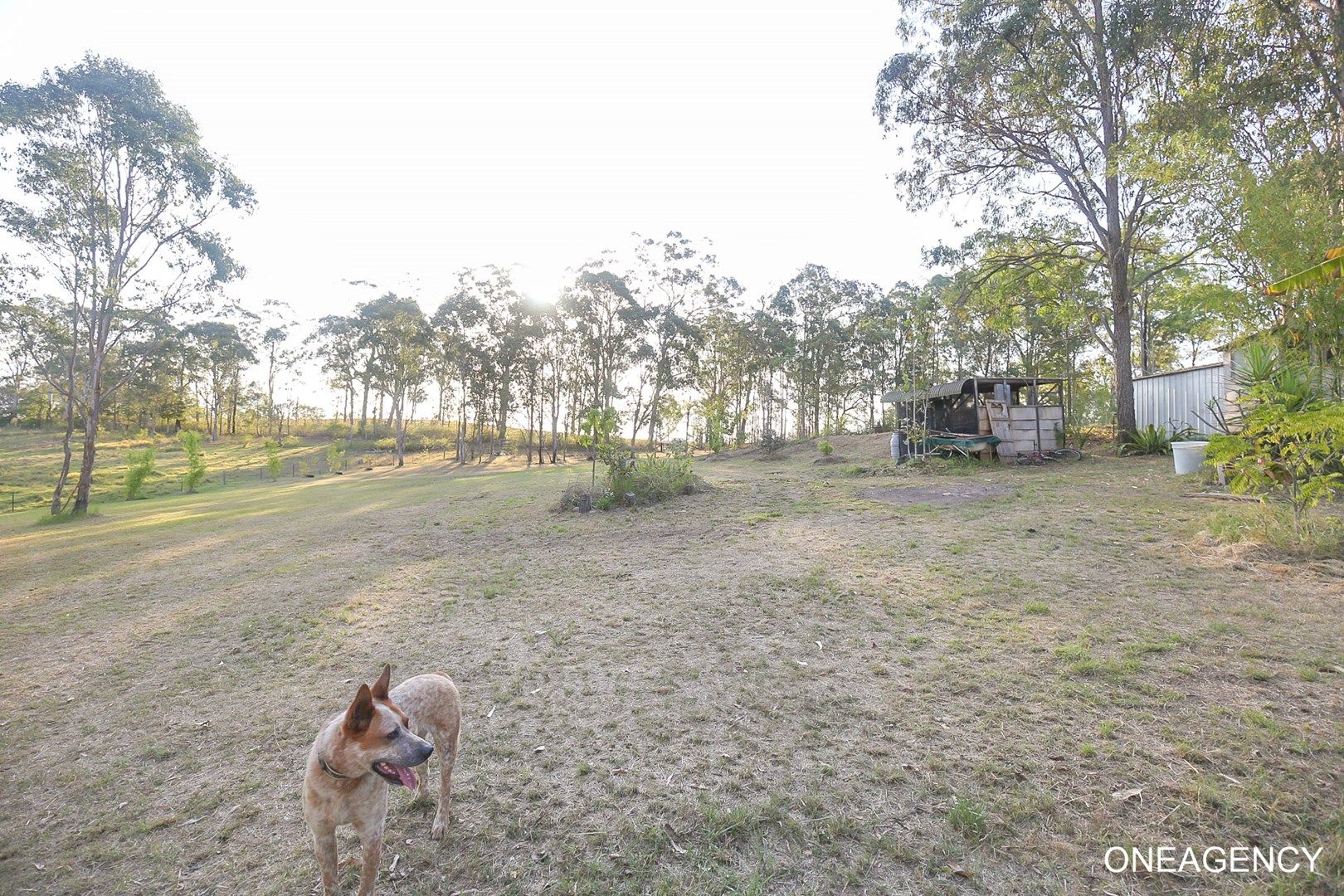 2716 Armidale Road, Hickeys Creek NSW 2440, Image 0