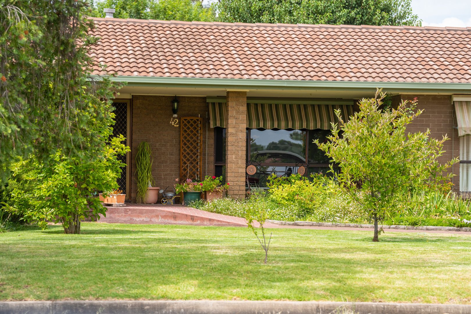 42 Vine Street, Holbrook NSW 2644, Image 1