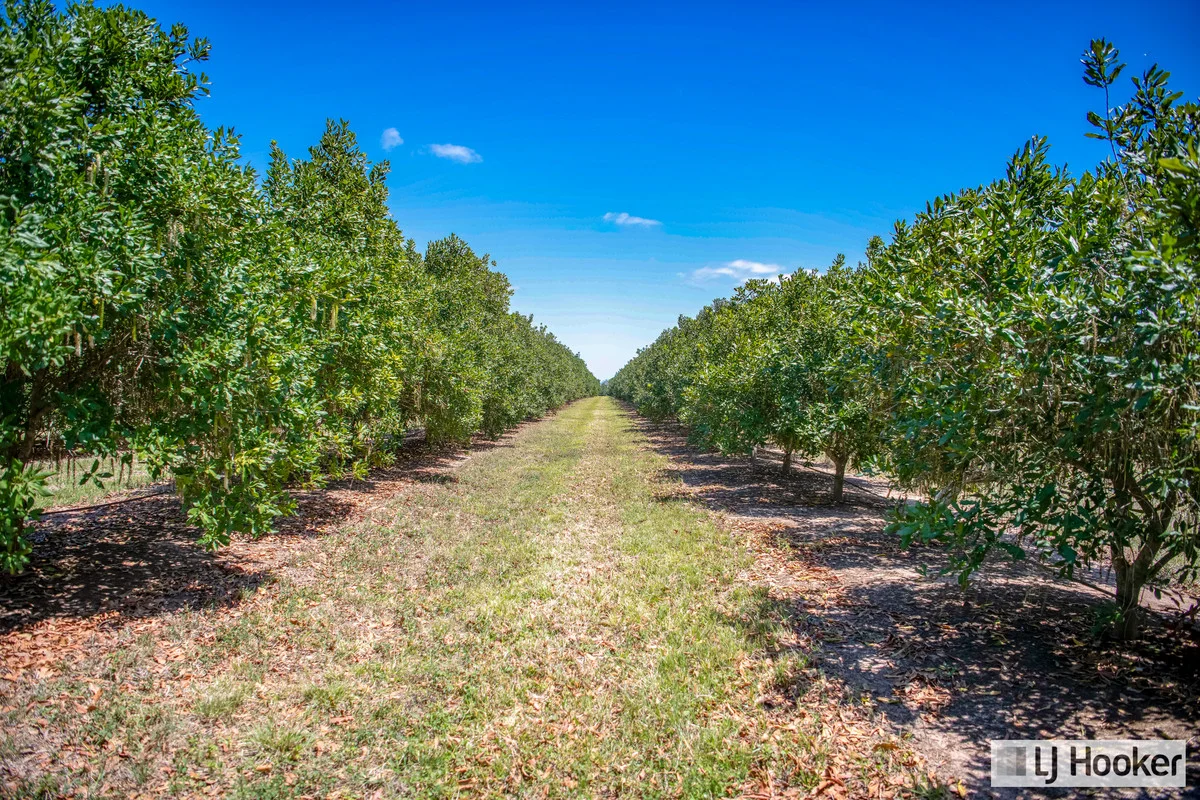 Additional image 21 of Meadowvale QLD 4670