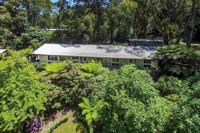 Picture of 313 Mt Dandenong Tourist Road, SASSAFRAS VIC 3787