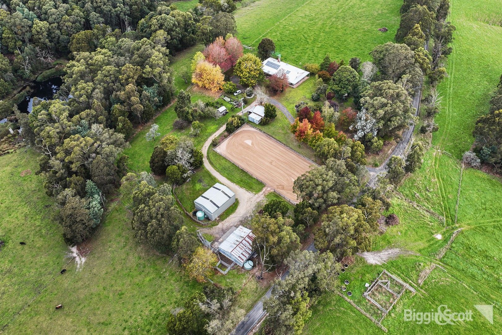62 Stoll Road, Buln Buln East VIC 3821 Rural Lifestyle Property for Sale