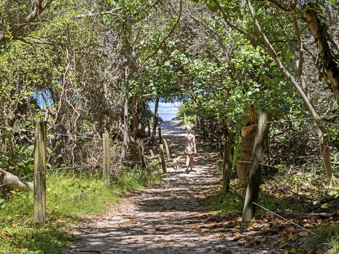 Additional image 27 of 33 Collins Lane, Casuarina NSW 2487