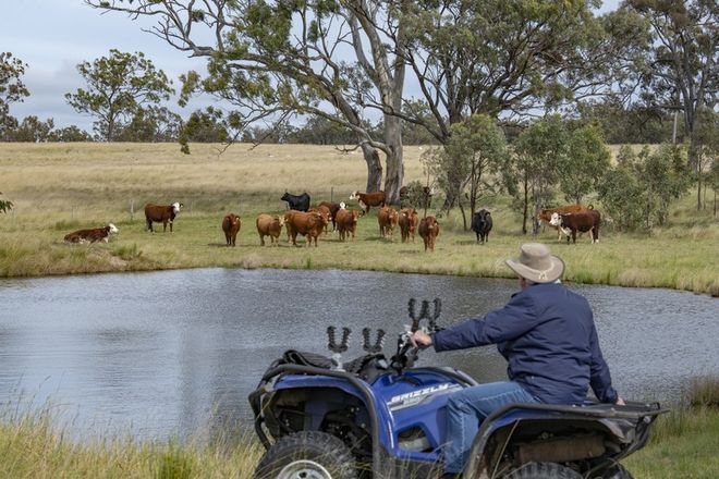 Picture of 20463 New England Highway, THE GLEN QLD 4370