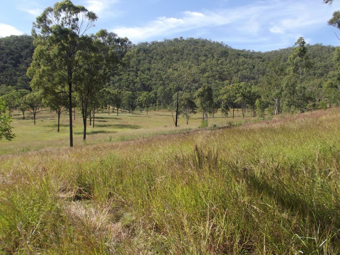 Degilbo QLD 4621, Image 0