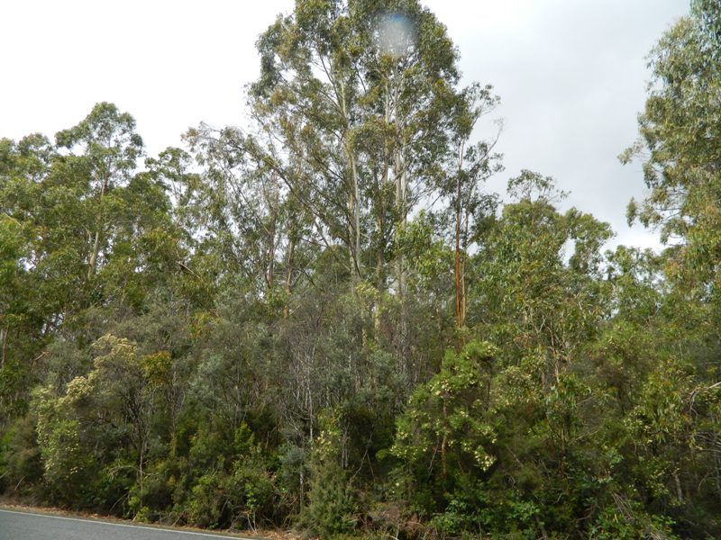 0 Gordon River Road, Tyenna TAS 7140, Image 2