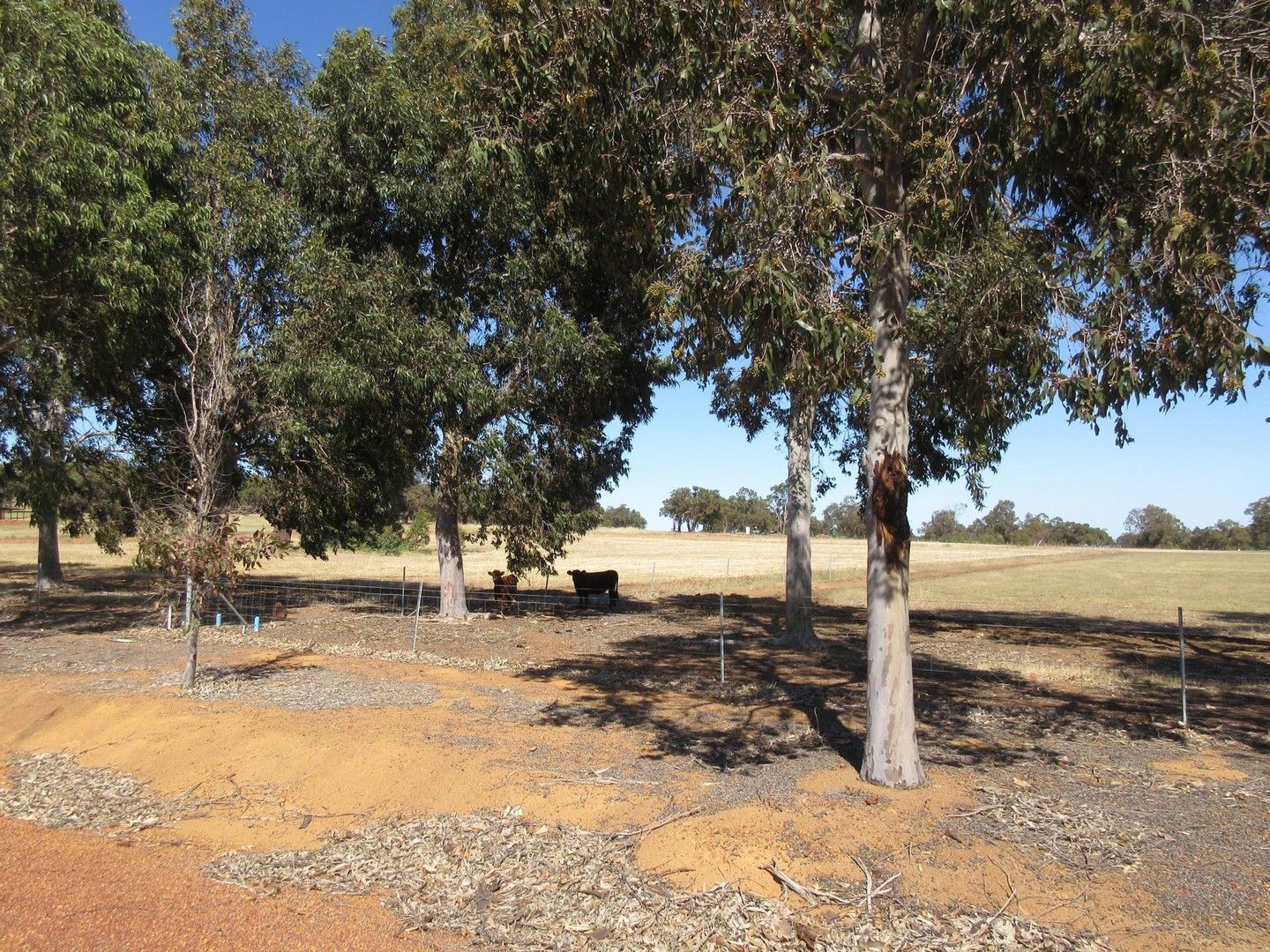 Lot 172, Boodja Road, Wundowie WA 6560, Image 1