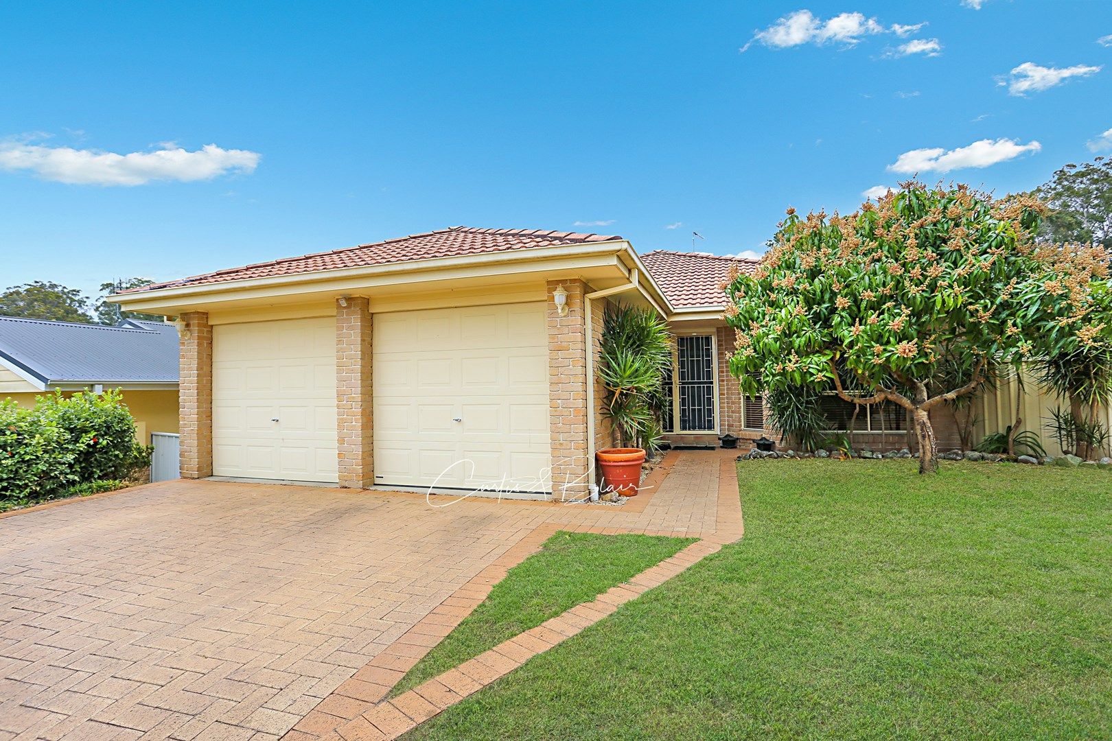 3 Warabi Close, Medowie NSW 2318, Image 0