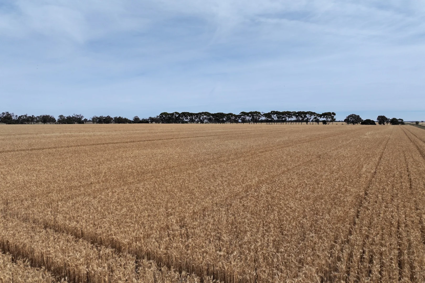 Image 14