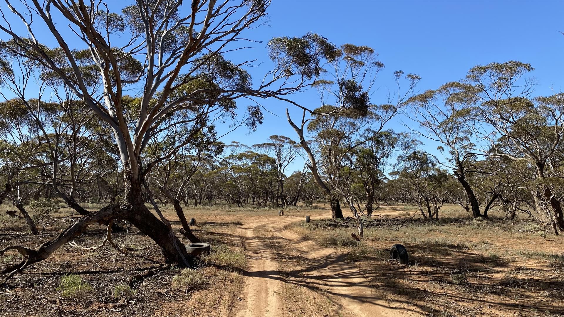 1 Old Railway Line Road, Steinfeld SA 5356, Image 0