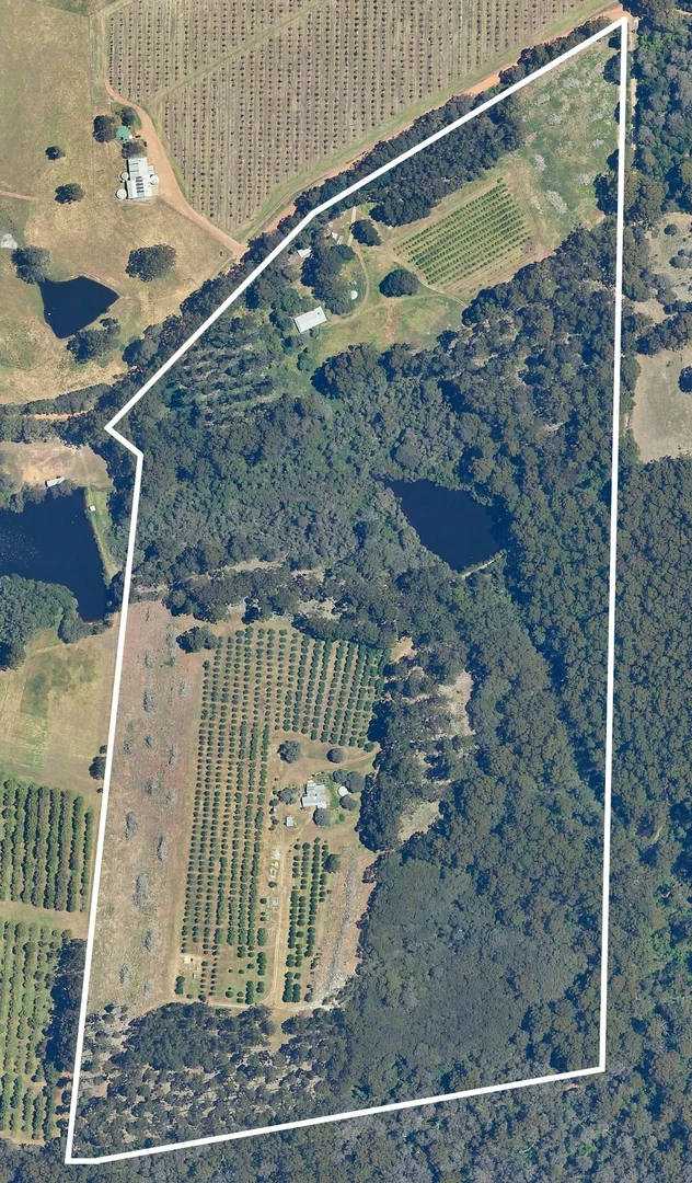 Additional image 23 of 75 Hawke Road (Yeagarup), Pemberton WA 6260