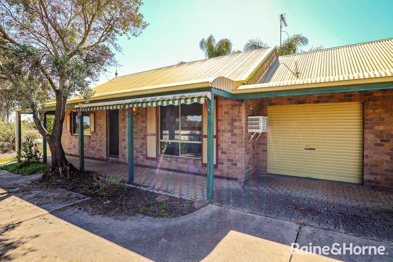 2 bedrooms Apartment / Unit / Flat in 2/115 Ashmont Avenue ASHMONT NSW, 2650