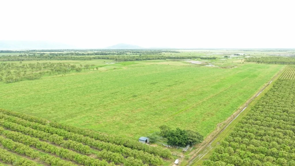 Additional image 16 of 3 Comiskey Road, Giru QLD 4809