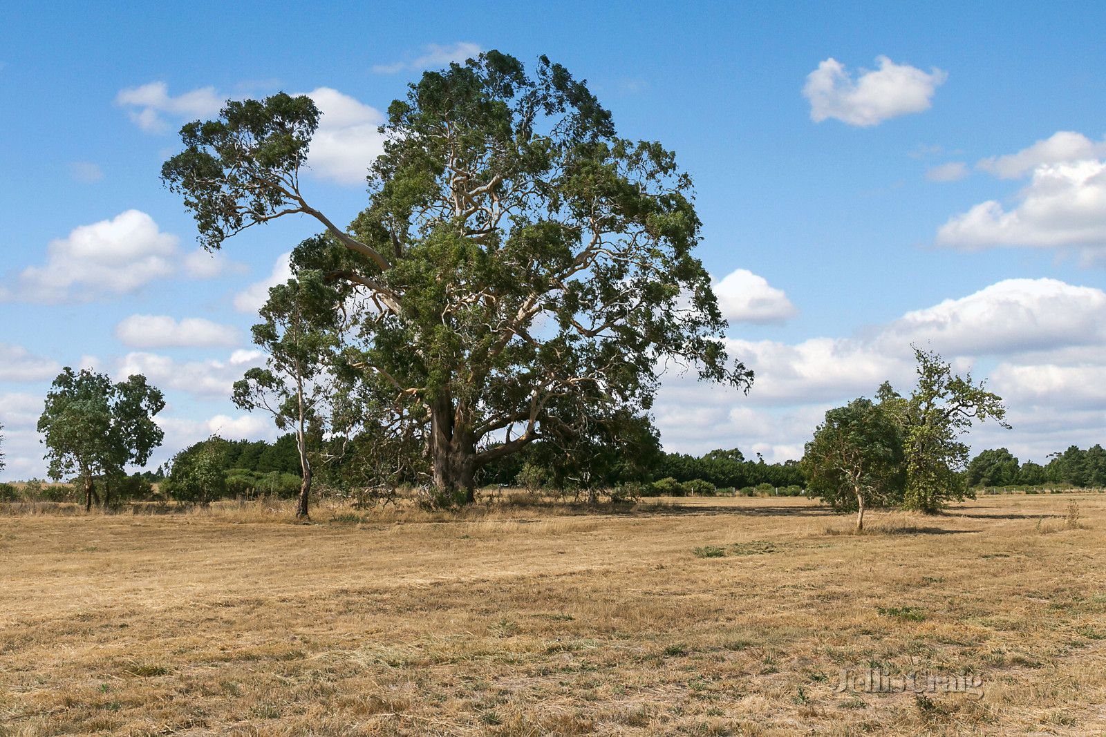 Corner Webster and Kyneton Metcalfe Road, Kyneton VIC 3444, Image 1