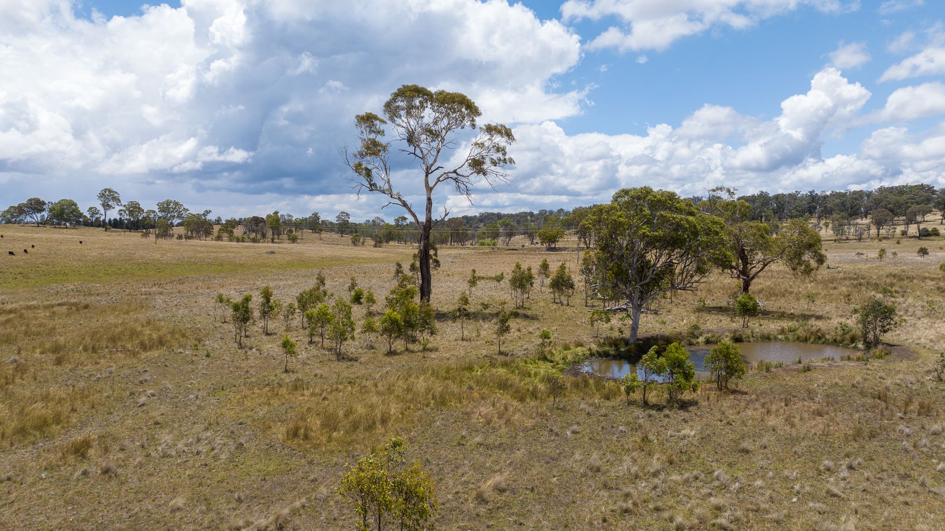 364 Long Swamp Road, Armidale NSW 2350, Image 1