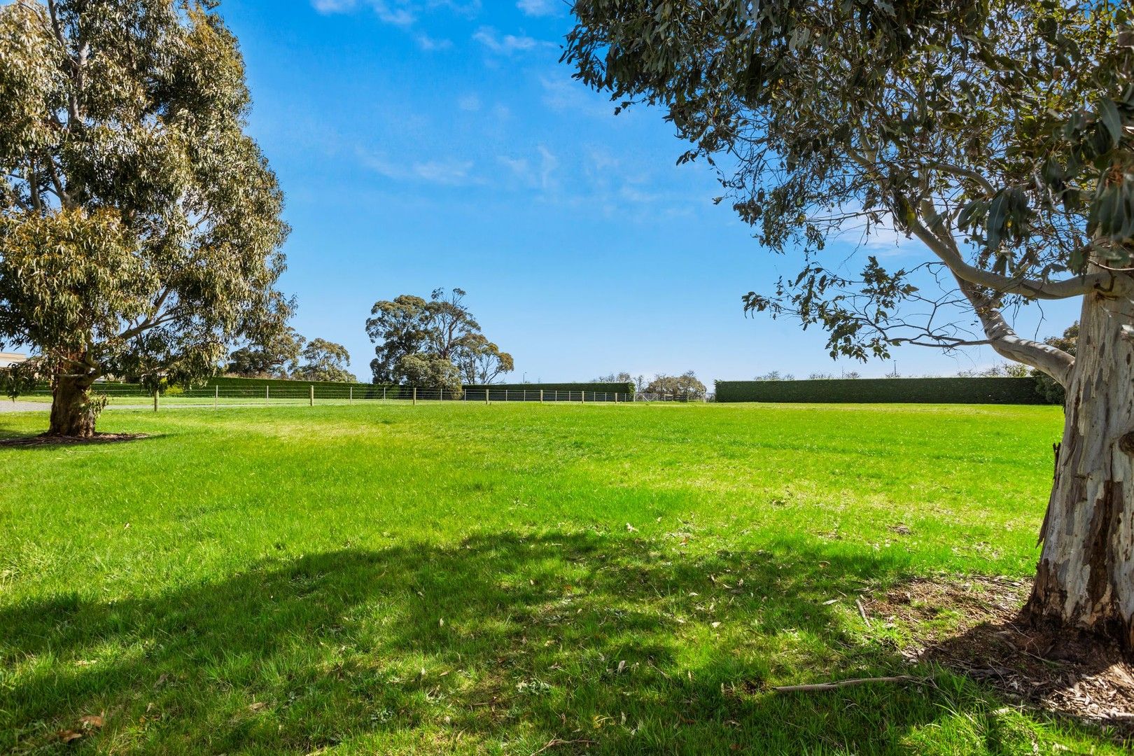 133 Harpers Lane, VIC 3444 Domain