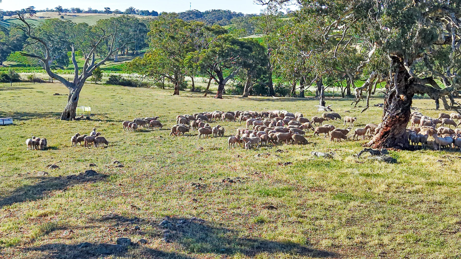 Additional image 32 of 95 Fairfield Road, Penwortham SA 5453