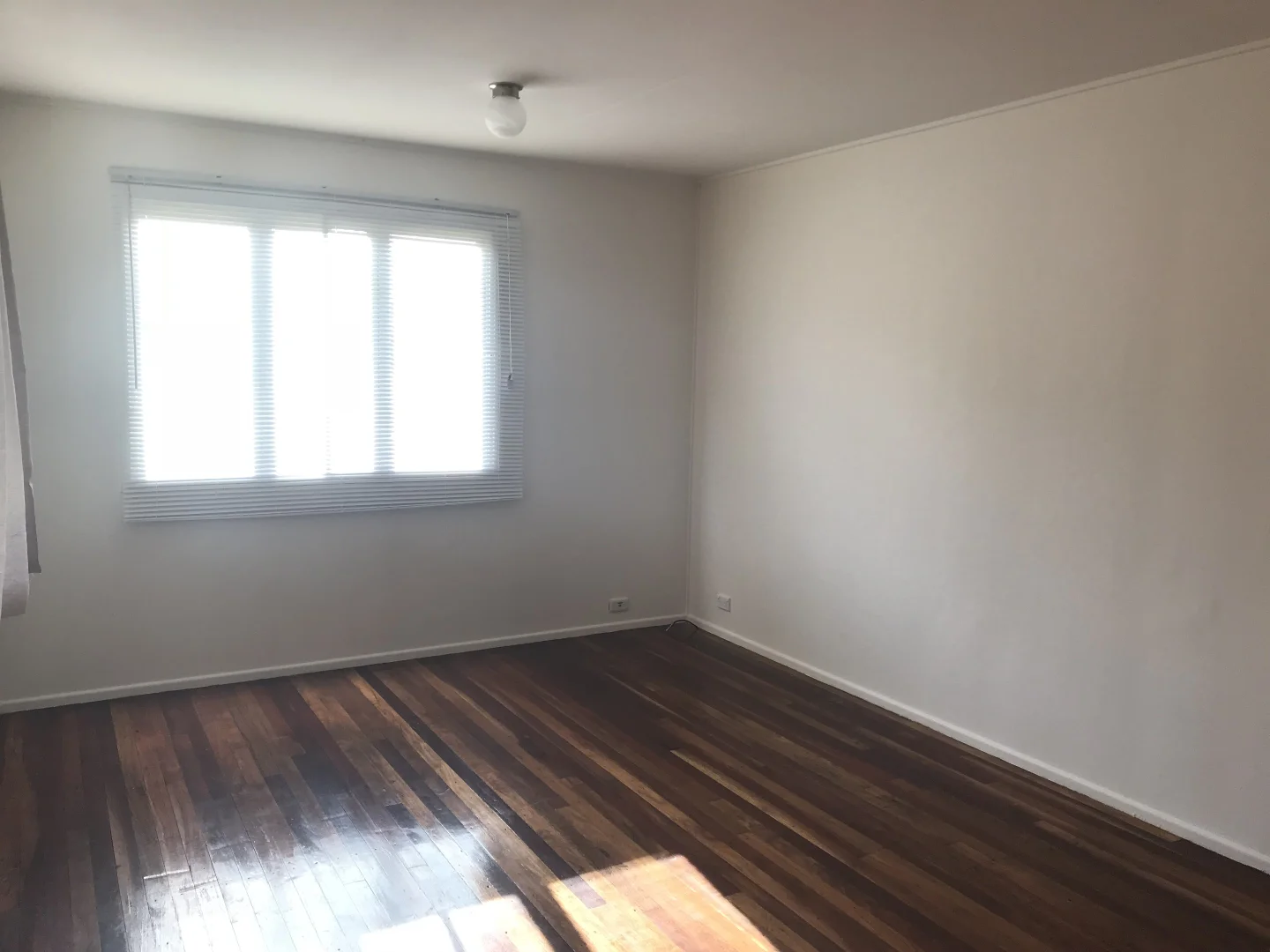 Additional image 7 of 2/4 Empire Avenue, Manly West QLD 4179