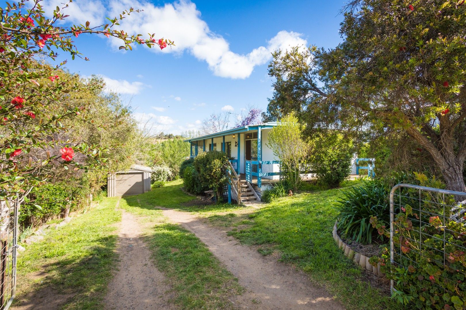 18 Eden St, Candelo NSW 2550, Image 0