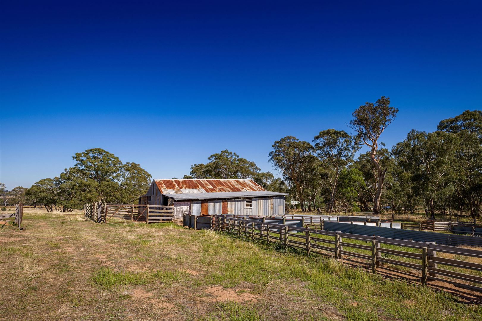 0 Longwood-Mansfield Road, Creightons Creek VIC 3666, Image 2