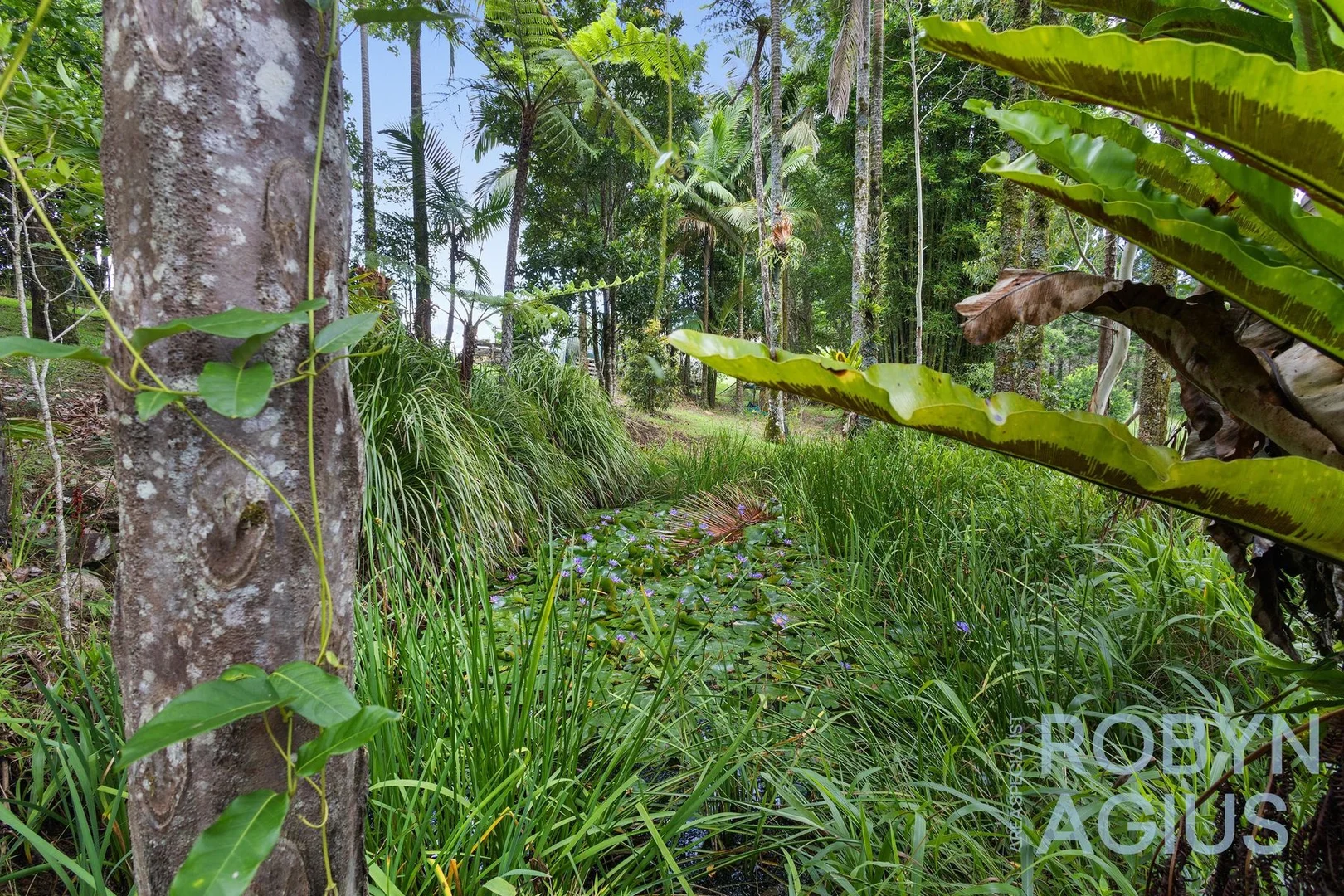 Additional image 30 of 184 Cathay Creek Road, Crediton QLD 4757