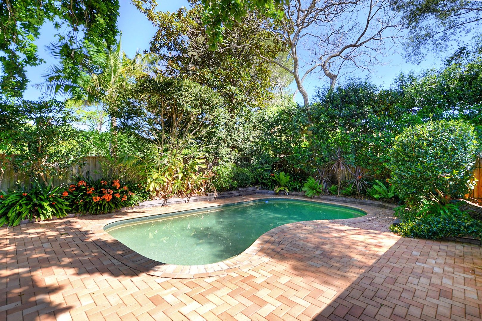 36 Second Avenue, Willoughby East NSW 2068 House For Rent Domain